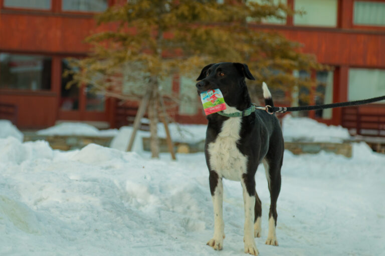 Found something yummy